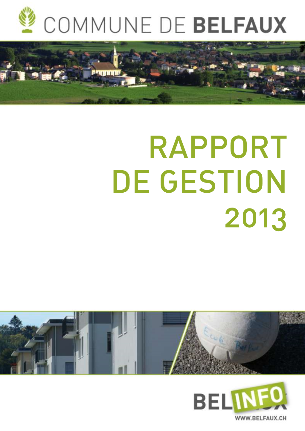 Rapport De Gestion 2013