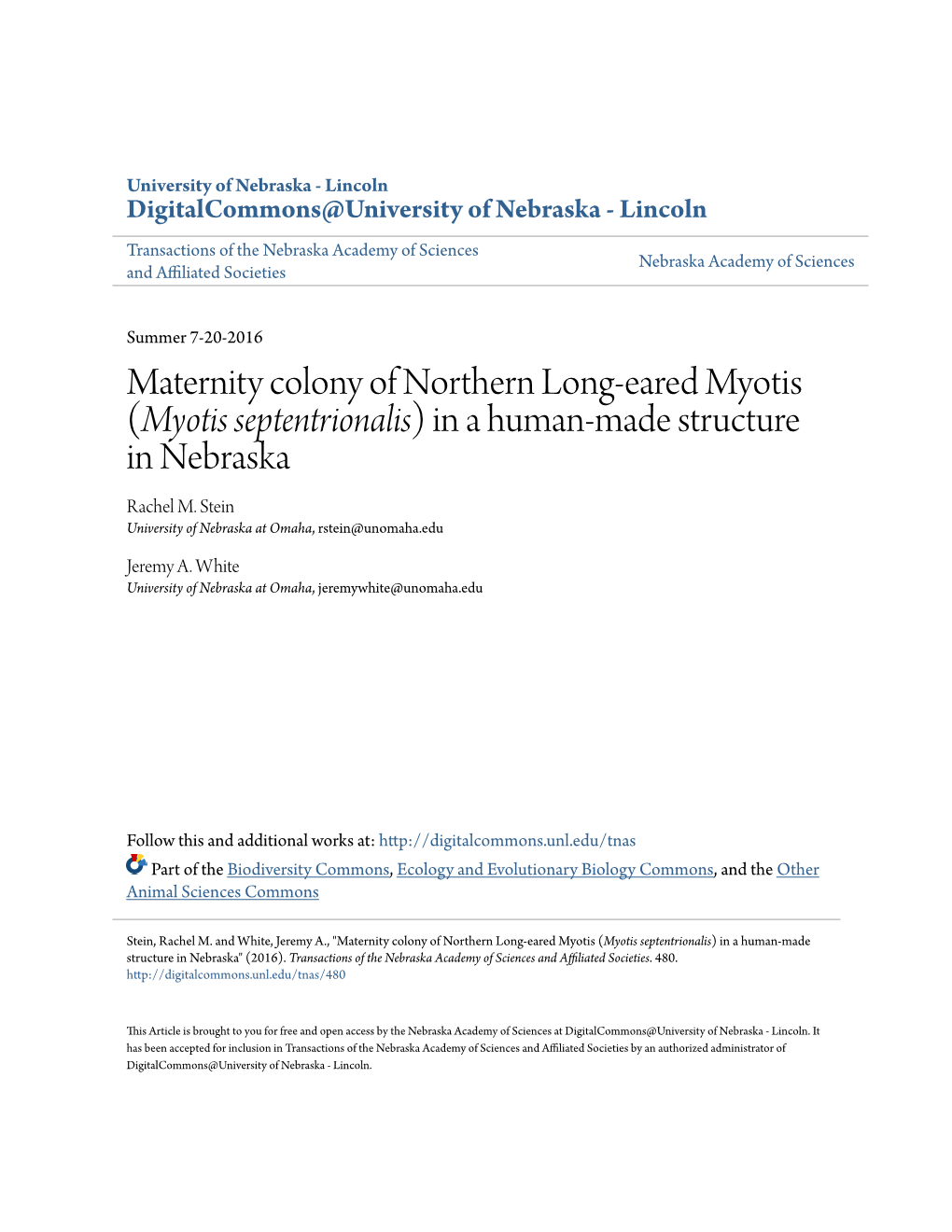 Maternity Colony of Northern Long-Eared Myotis (&lt;I&gt;Myotis