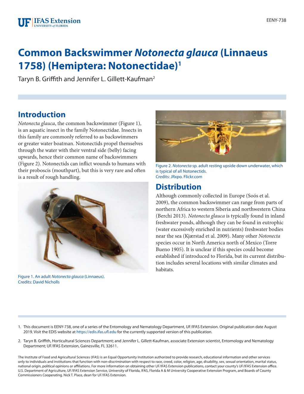 Common Backswimmer Notonecta Glauca (Linnaeus 1758) (Hemiptera: Notonectidae)1 Taryn B