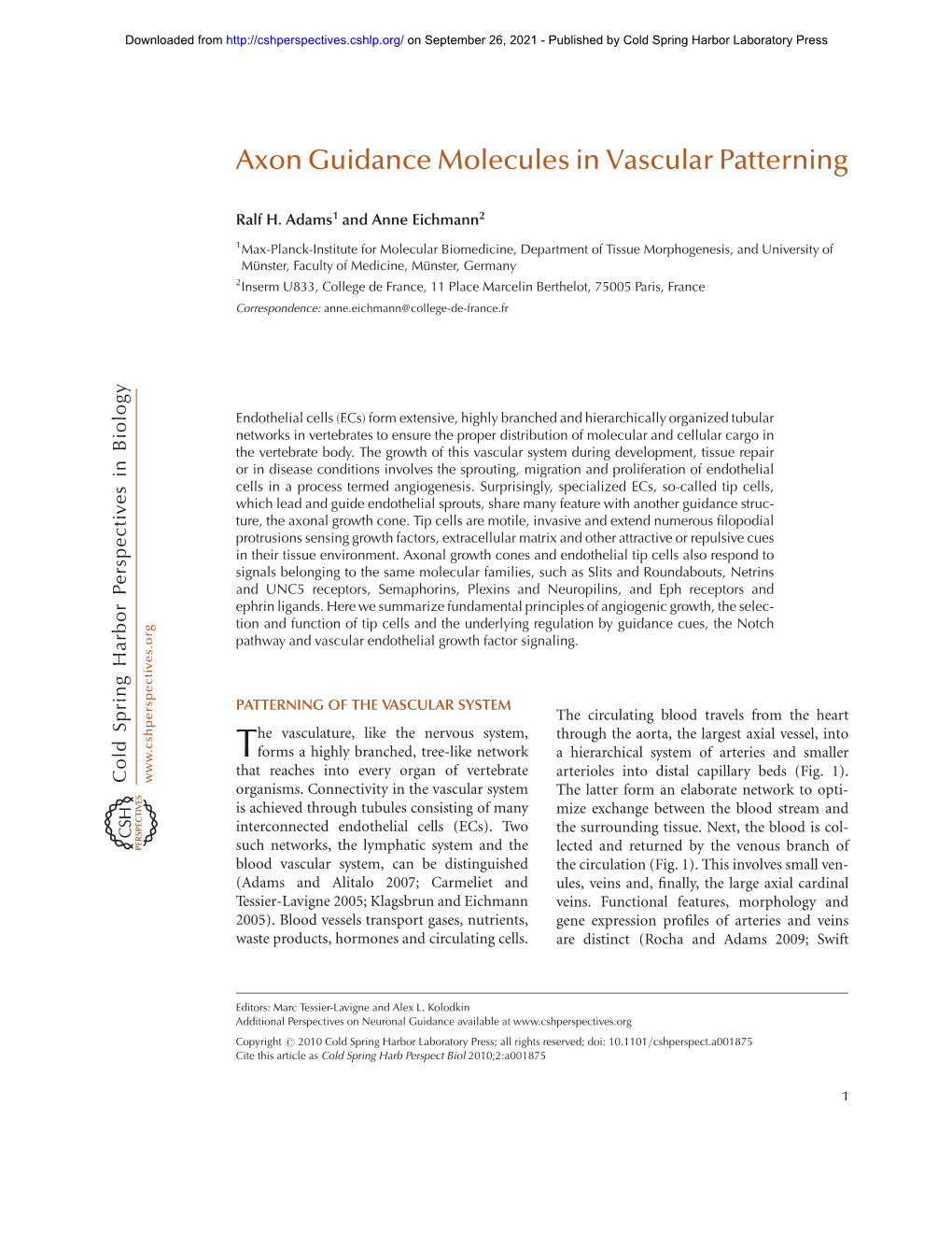 Axon Guidance Molecules in Vascular Patterning