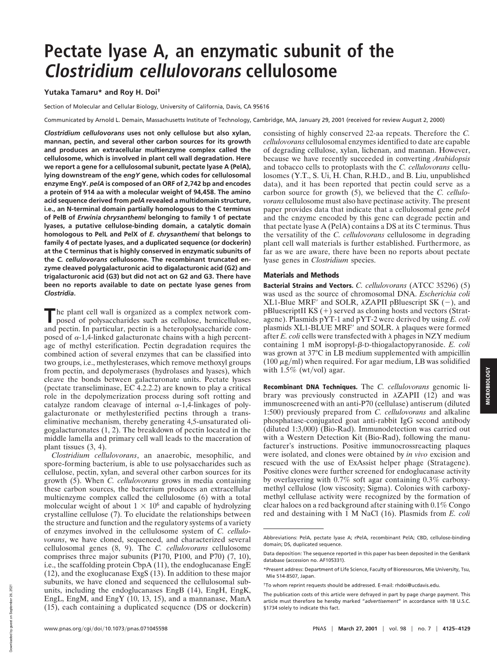 Pectate Lyase A, an Enzymatic Subunit of the Clostridium Cellulovorans Cellulosome