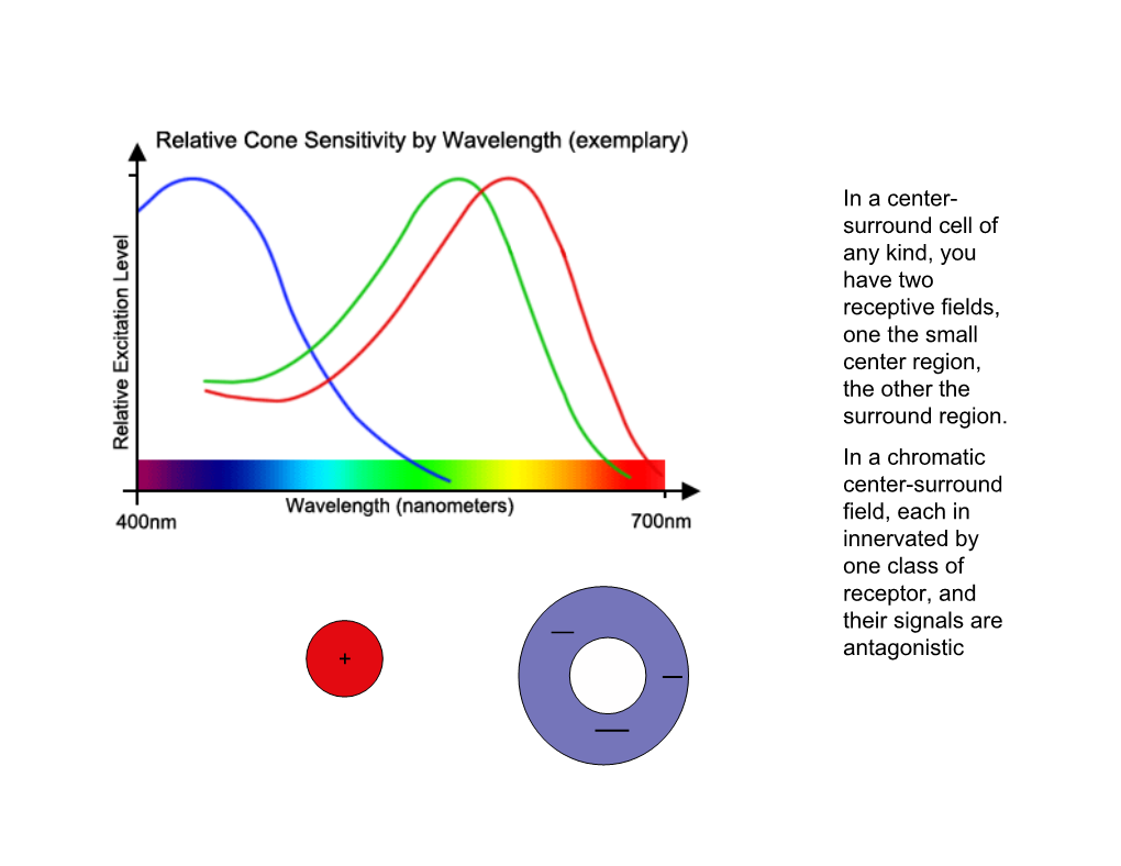 COLOUR11. Phenomenology