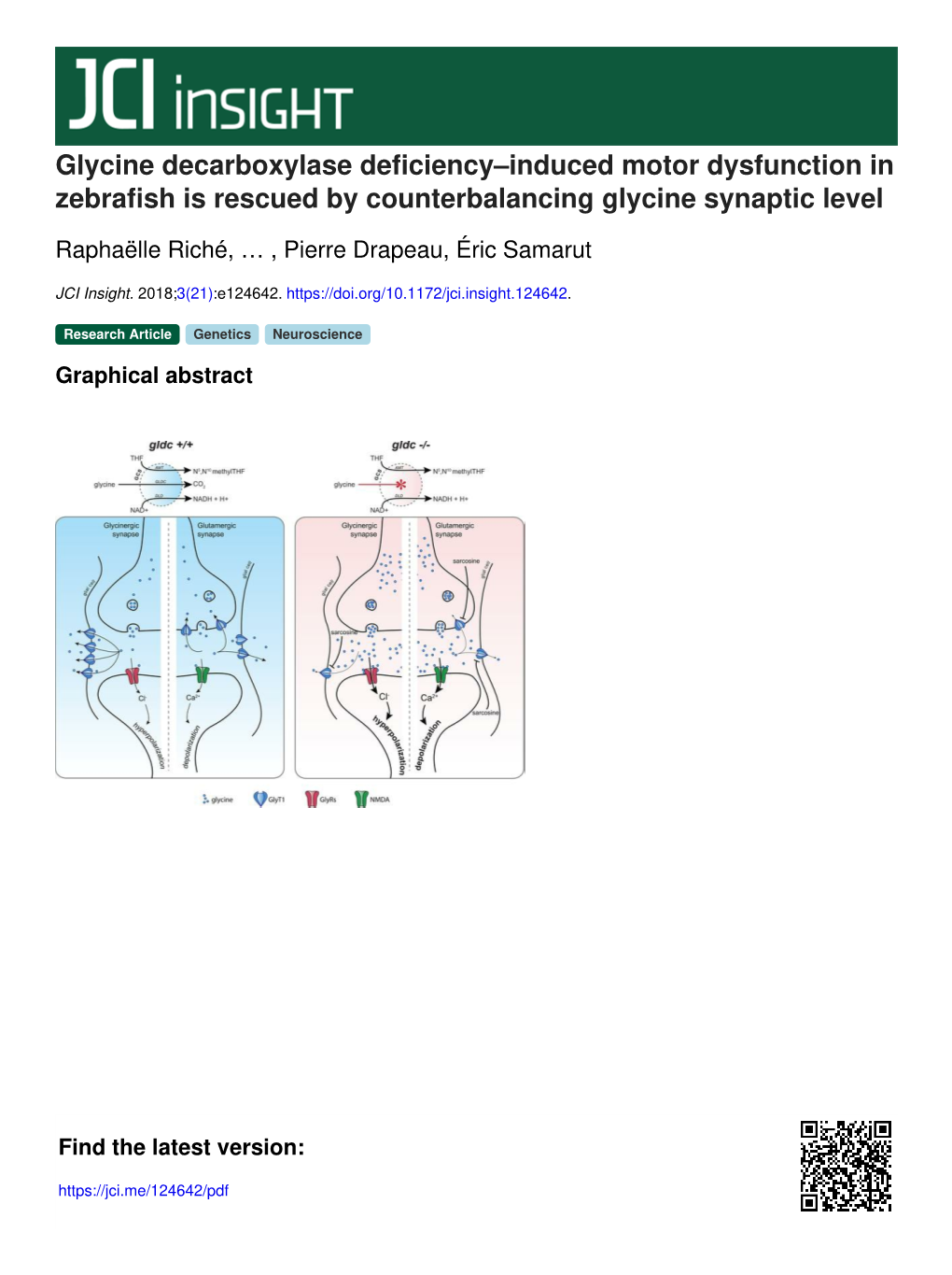 Glycine Decarboxylase Deficiency–Induced Motor Dysfunction in Zebrafish Is Rescued by Counterbalancing Glycine Synaptic Level