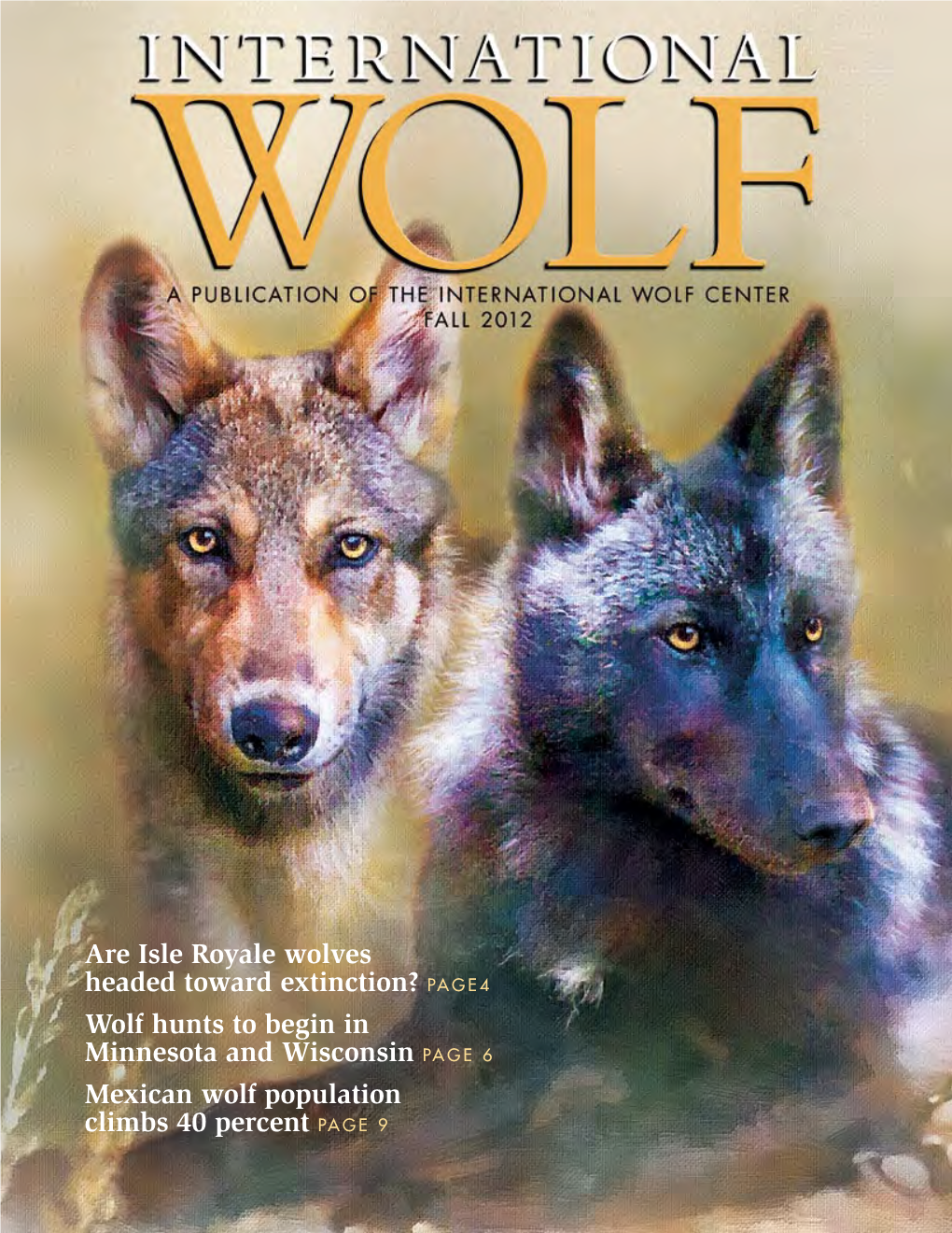Are Isle Royale Wolves Headed Toward Extinction? PAGE4 Wolf Hunts to Begin in Minnesota and Wisconsin PAGE 6 Mexican Wolf Population Climbs 40 Percent PAGE 9