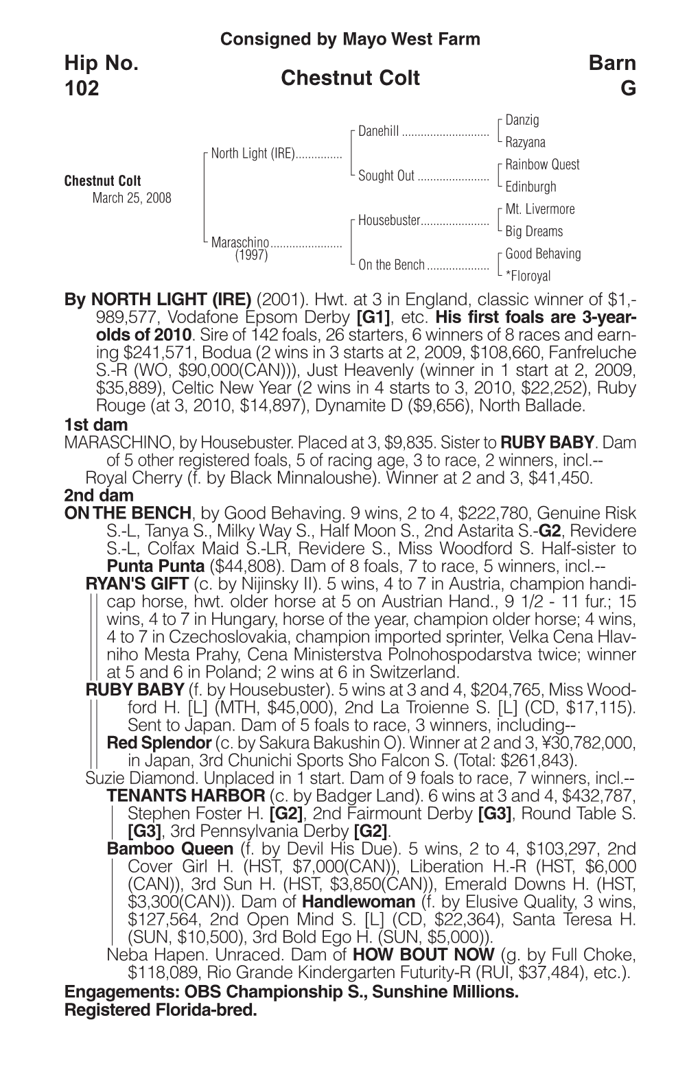 Chestnut Colt Barn G Hip No