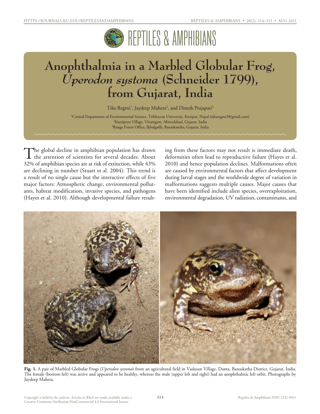 Cfreptiles & Amphibians