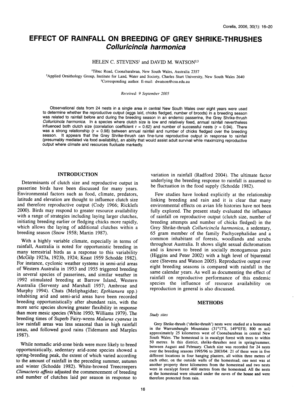 Effect of Rainfall on Breeding of Grey Shrike