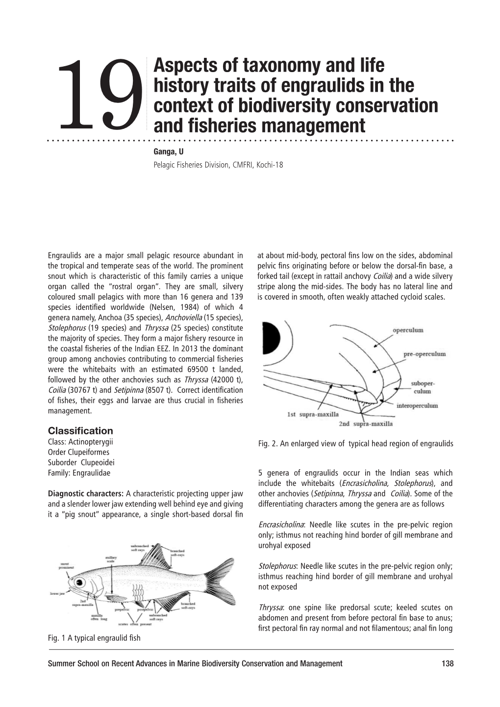 Aspects of Taxonomy and Life History Traits of Engraulids in the Context Of