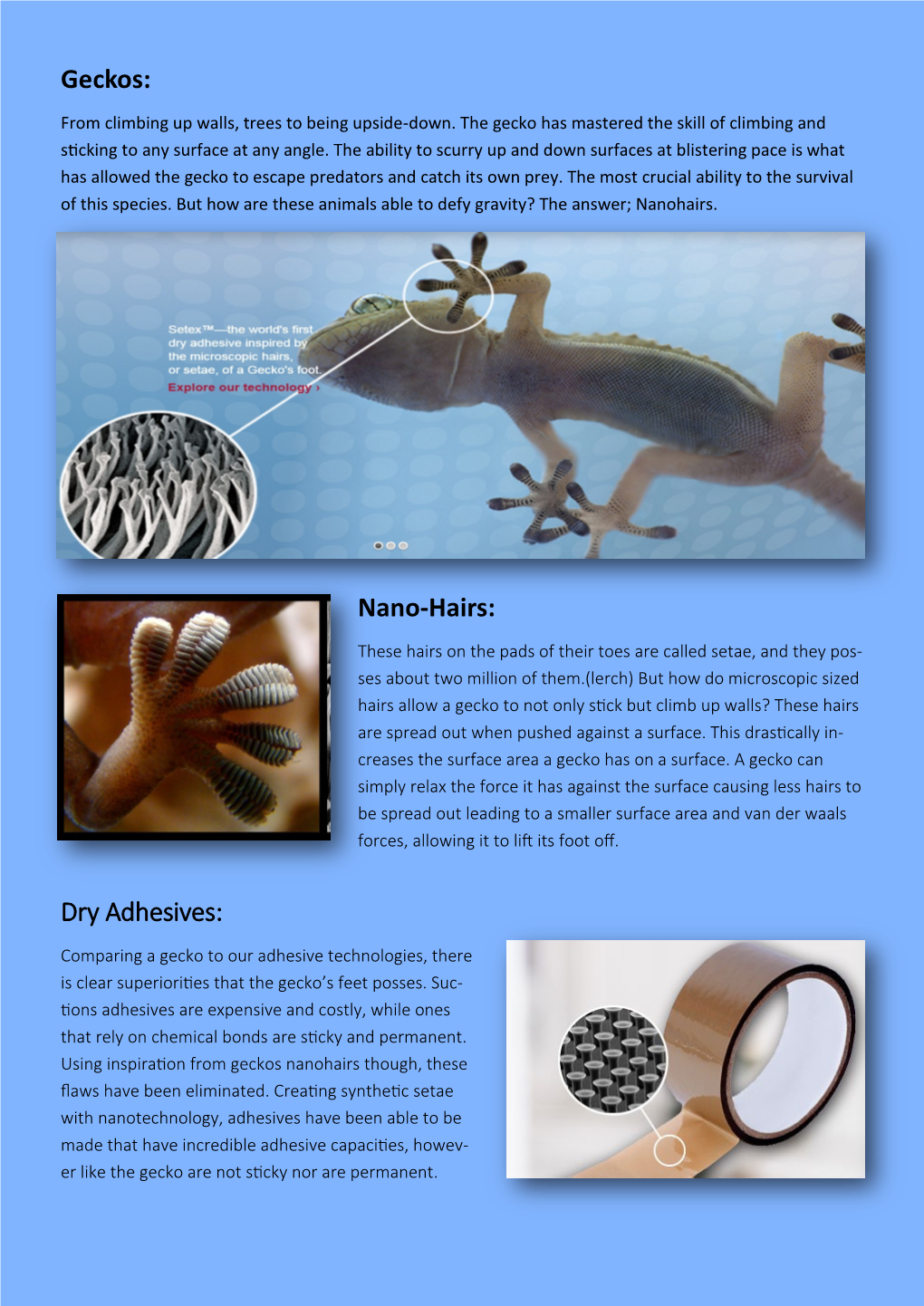 Nano-Hairs: Dry Adhesives