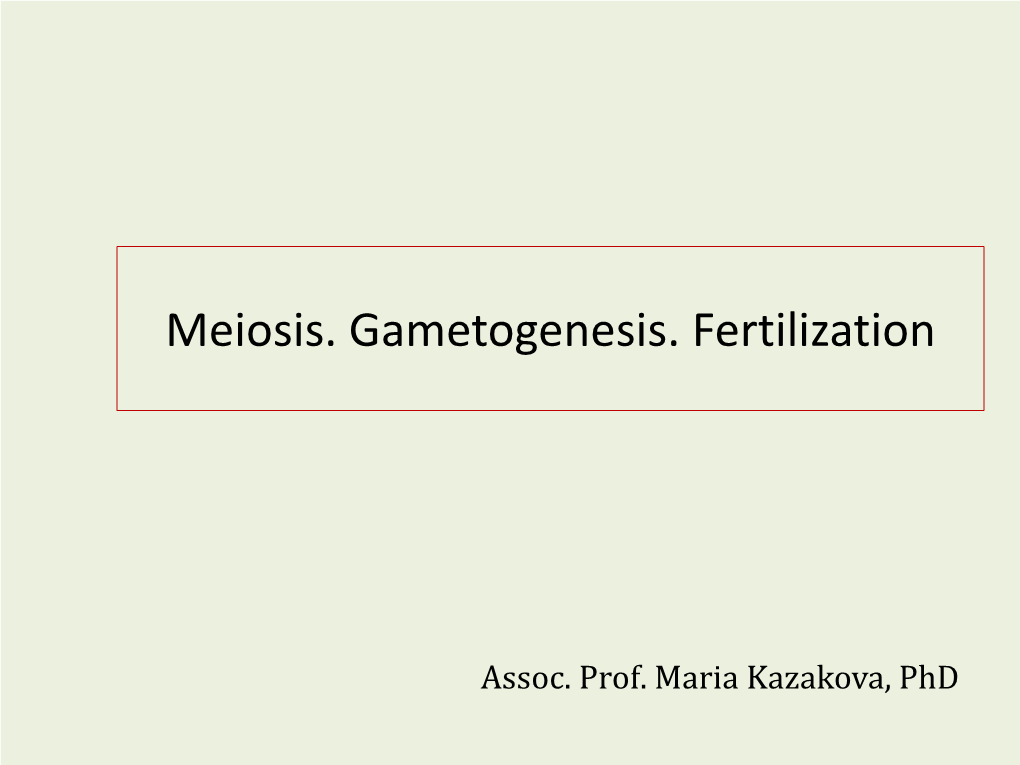 Meiosis. Gametogenesis. Fertilization