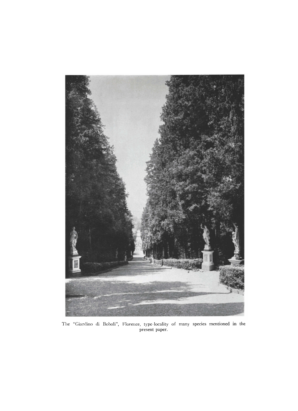 The "Giardino Di Boboli", Florence, Type-Locality of Many Species Mentioned in the Present Paper. BERLESE's PRIMITIVE ORIBATID MITES