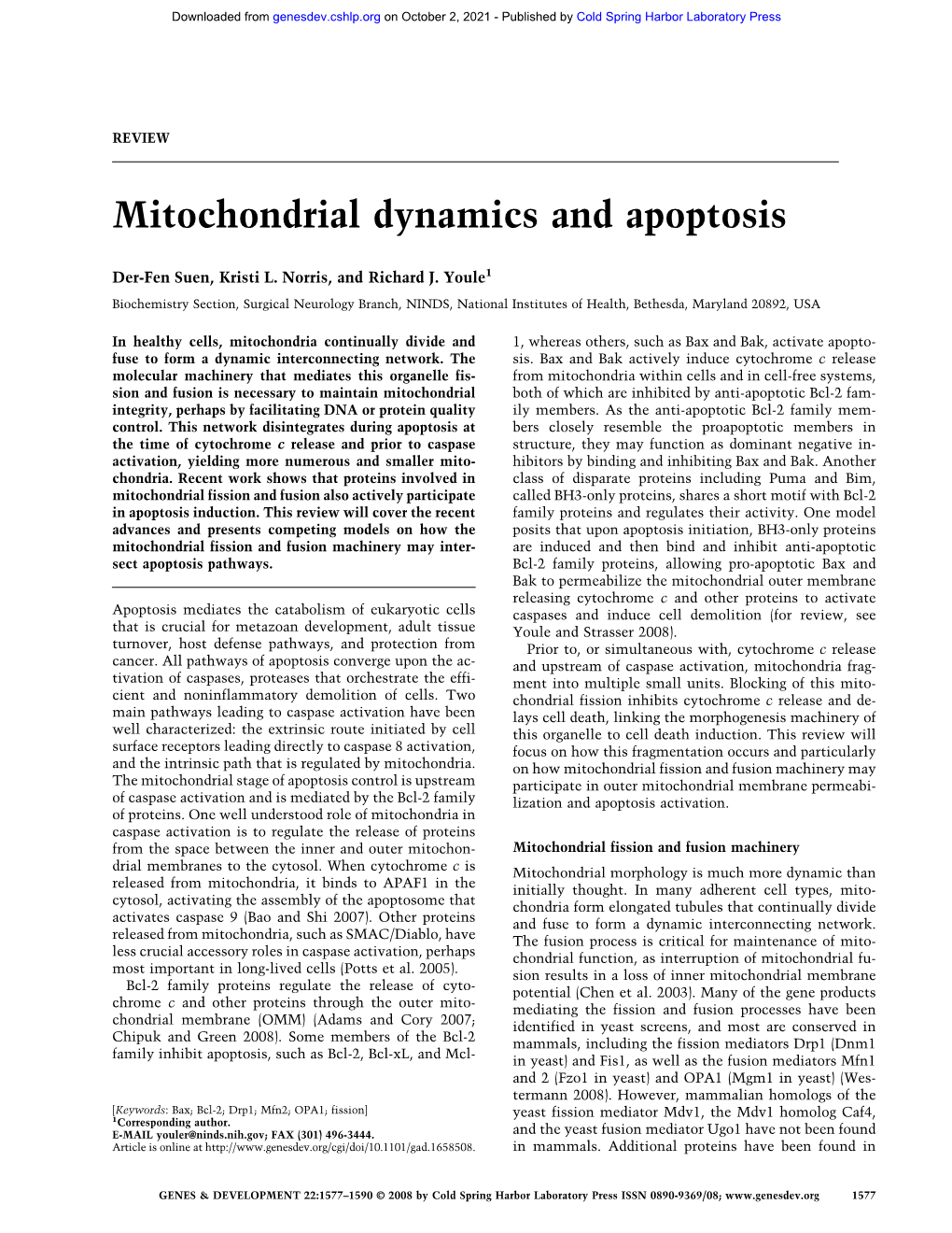 Mitochondrial Dynamics and Apoptosis
