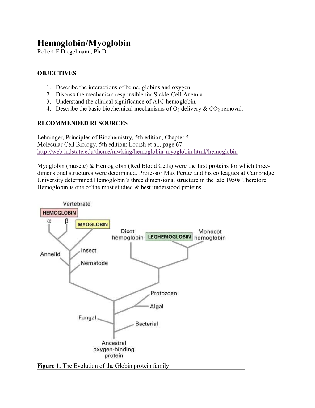 Hemoglobin/Myoglobin Robert F.Diegelmann, Ph.D