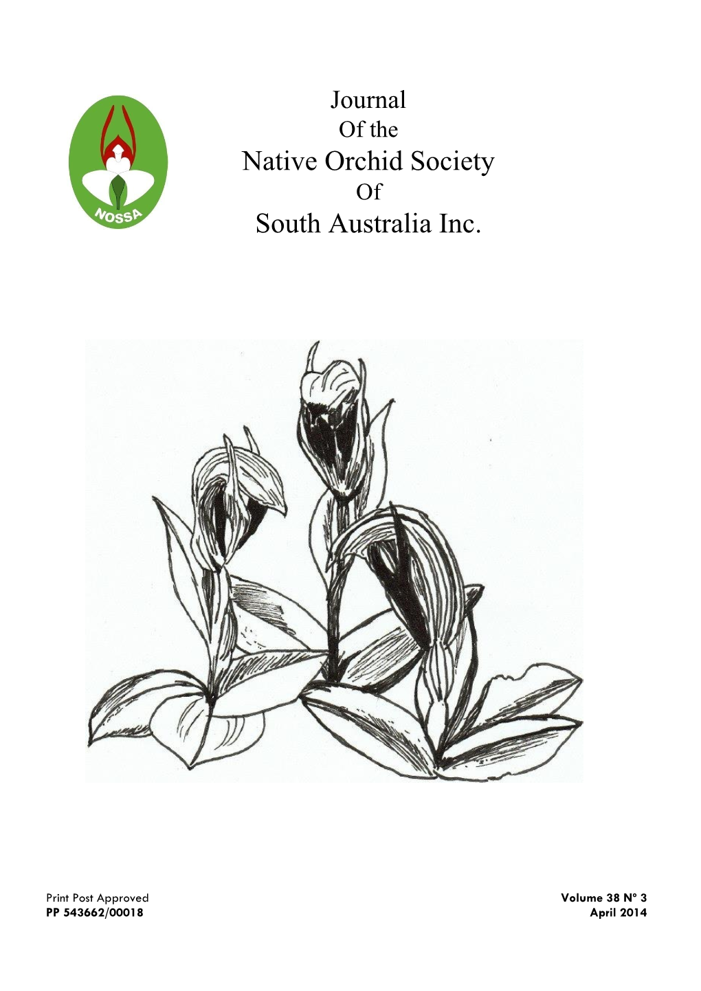 Native Orchid Society South Australia Inc