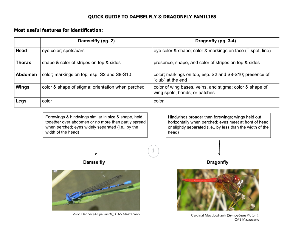 Dragonfly (Pg. 3-4) Head Eye Color