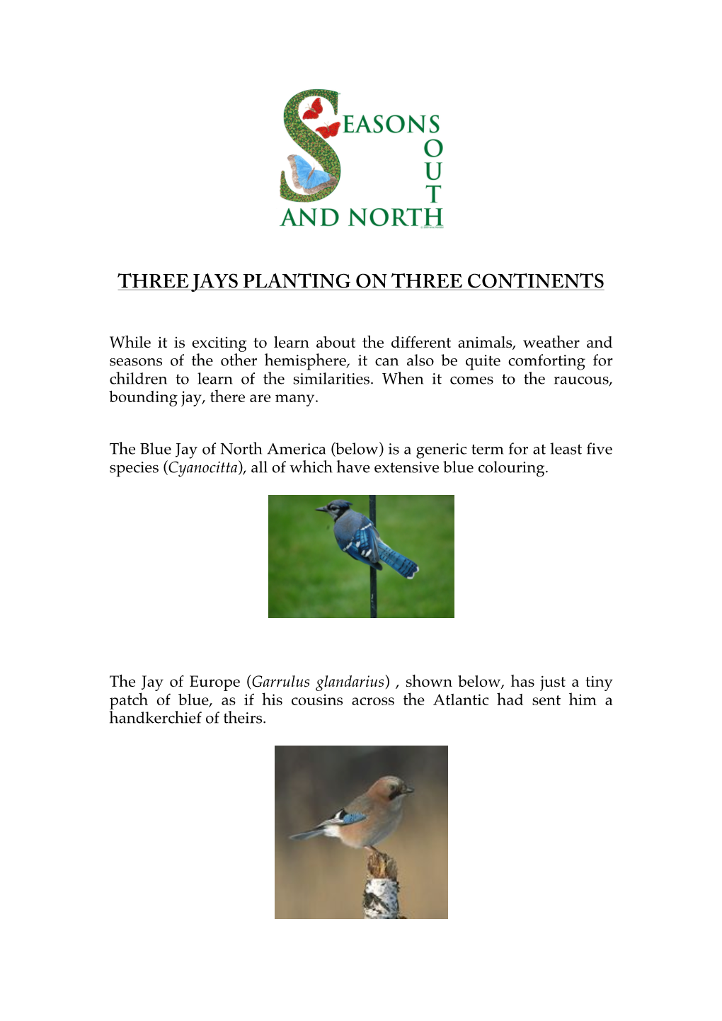 Three Jays Planting on Three Continents