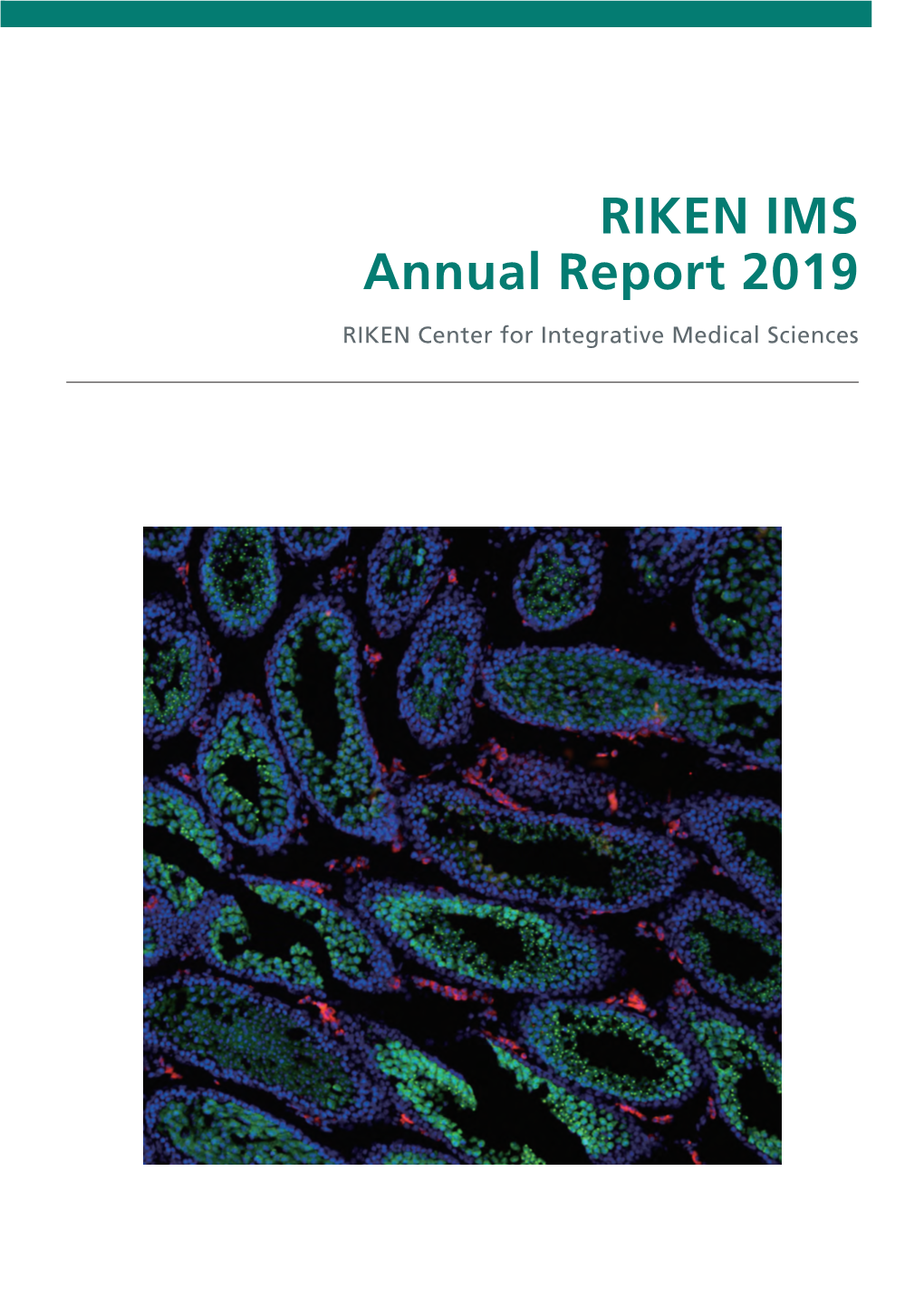 RIKEN IMS Annual Report 2019 RIKEN IMS Annual Report 2019