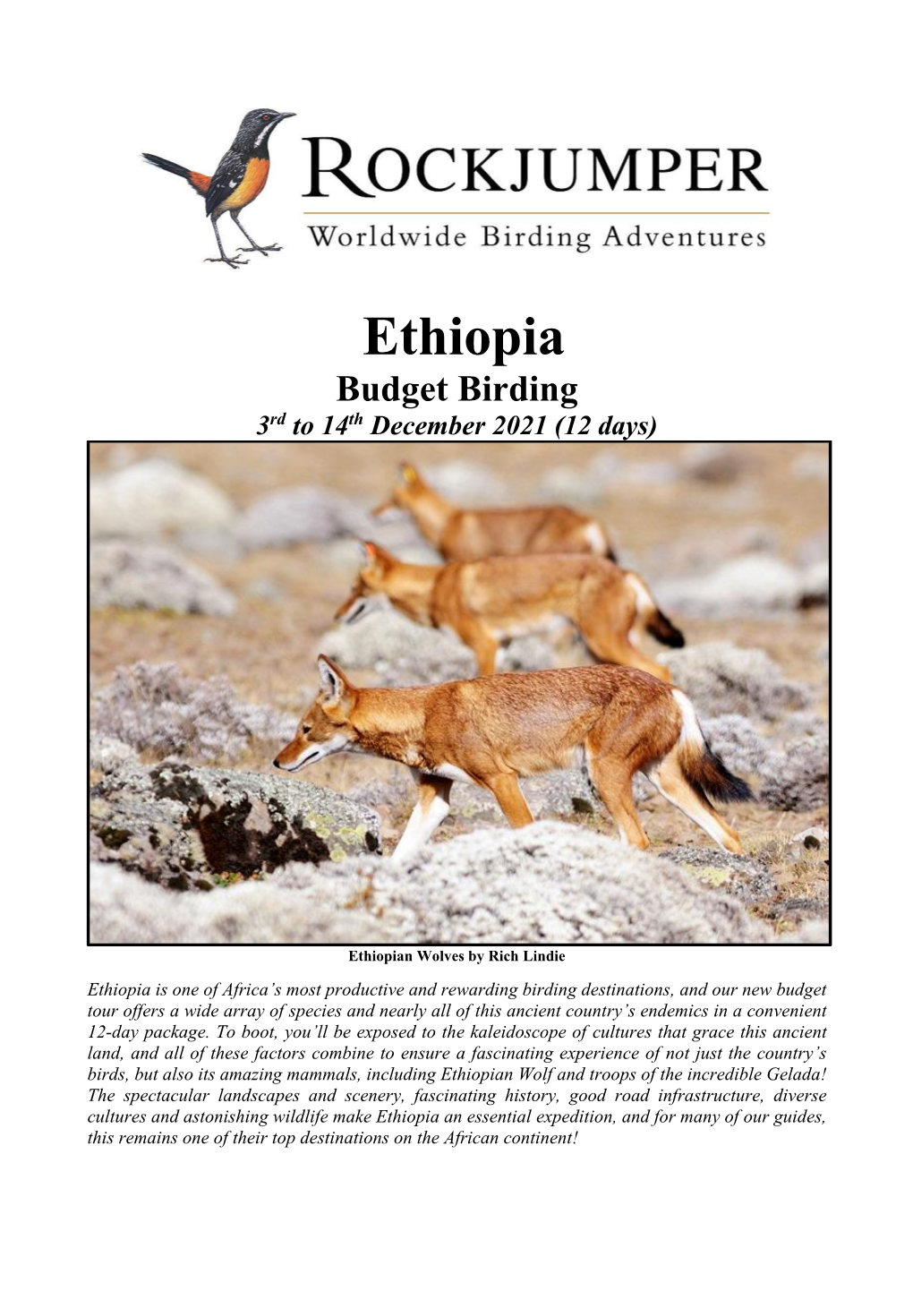 Ethiopia Budget Birding 3Rd to 14Th December 2021 (12 Days)