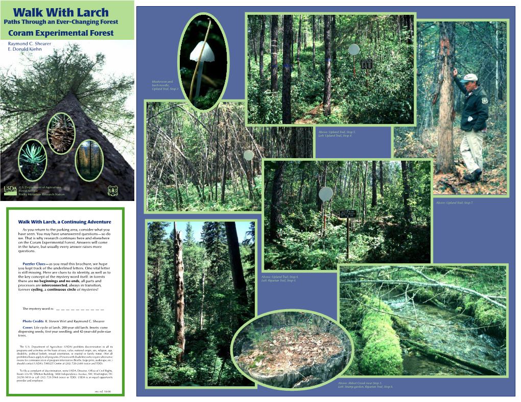 Walk with Larch Trails Upland Young Forest Trail 0.8 Mi