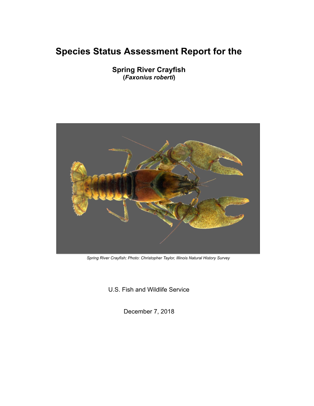 Species Status Assessment for Spring River Crayfish