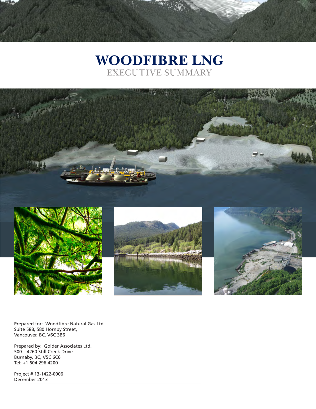 Woodfibre Lng Executive Summary