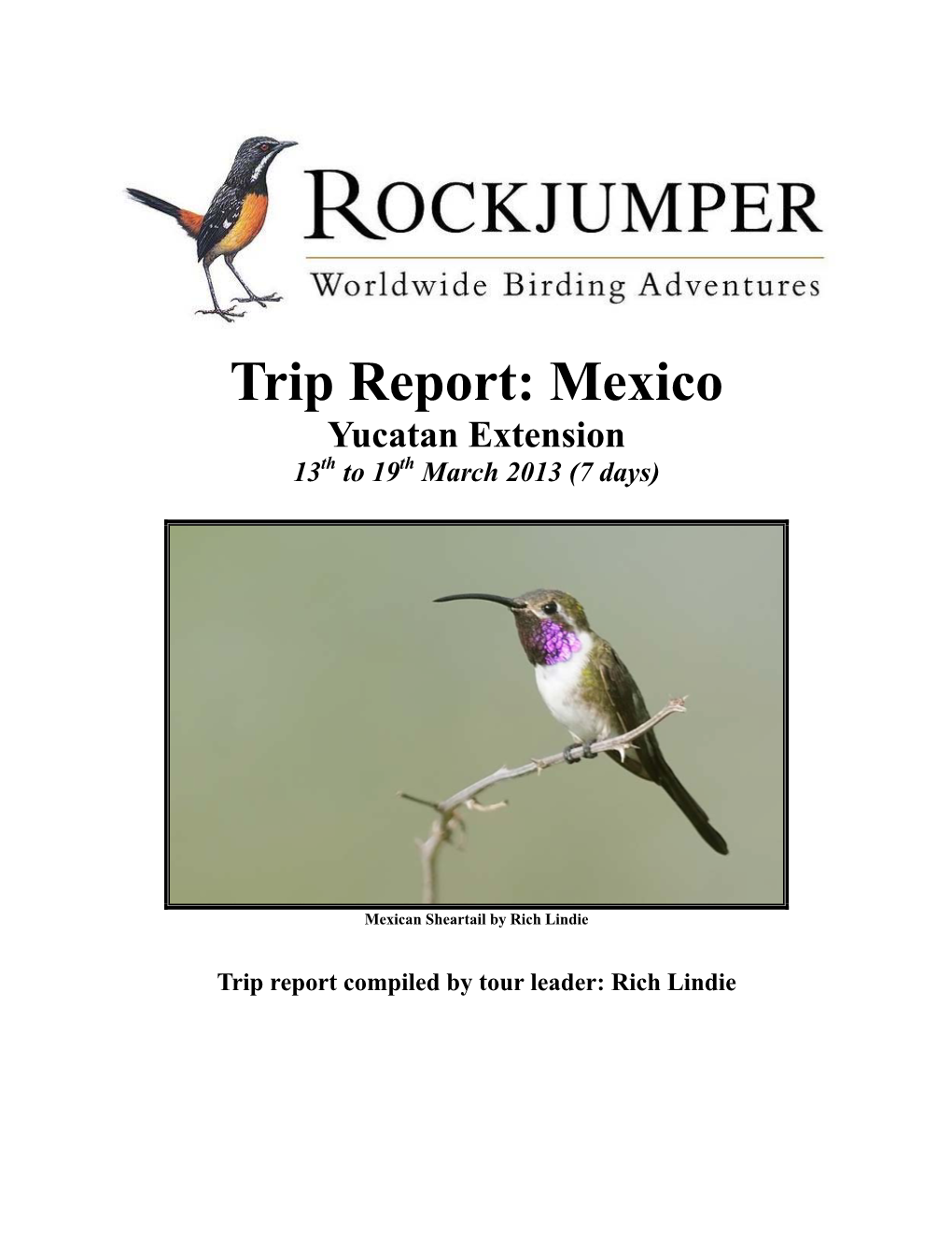 Trip Report: Mexico Yucatan Extension 13Th to 19Th March 2013 (7 Days)