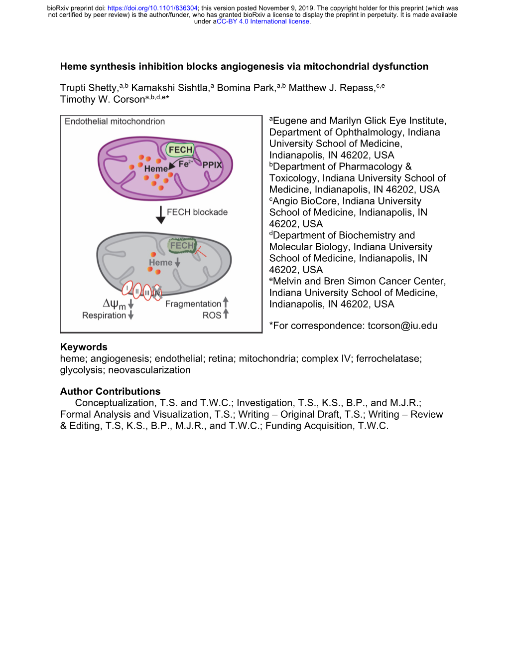 Heme Synthesis Inhibition Blocks Angiogenesis Via Mitochondrial Dysfunction