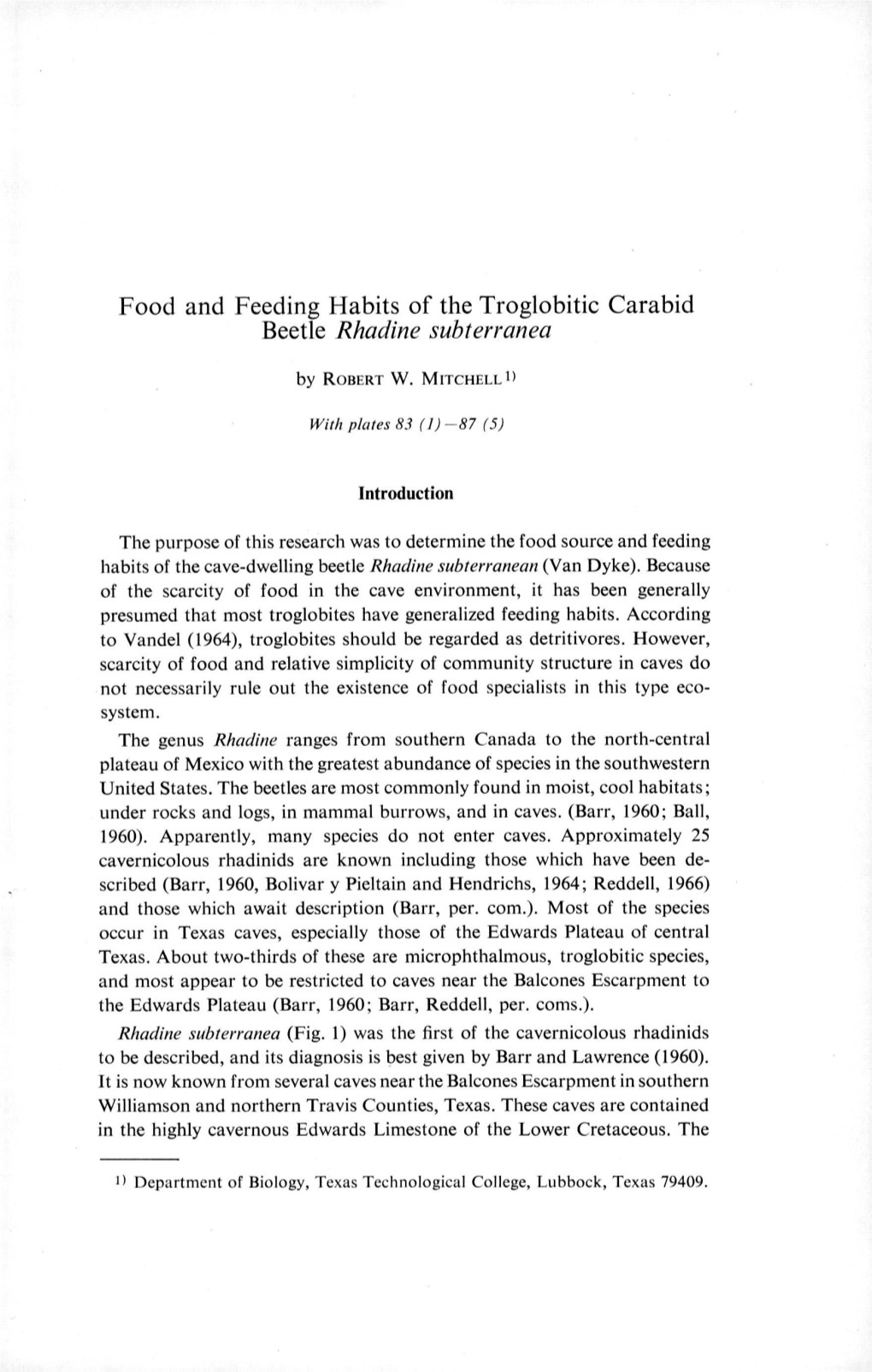 Food and Feeding Habits of the Troglobitic Carabid Beetle Rhadine Subferranea