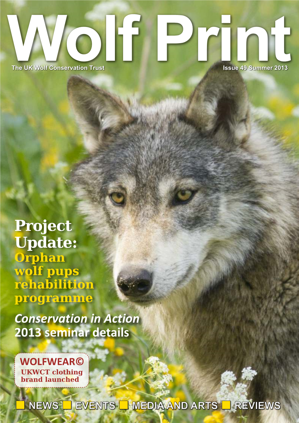 Issue 49 Summer 2013