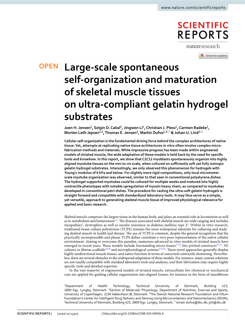 Large-Scale Spontaneous Self-Organization and Maturation Of