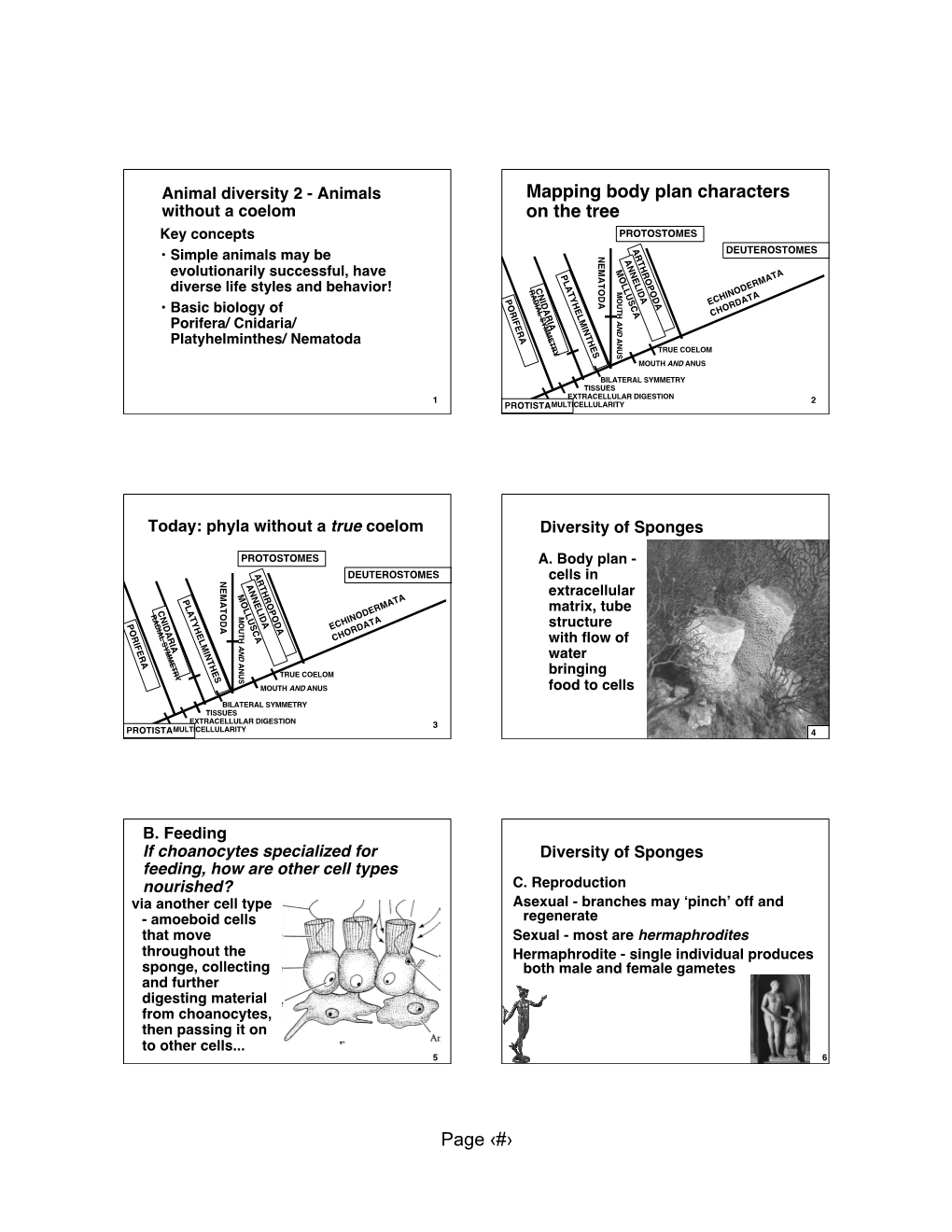 Andivers2'06h.O.Pdf