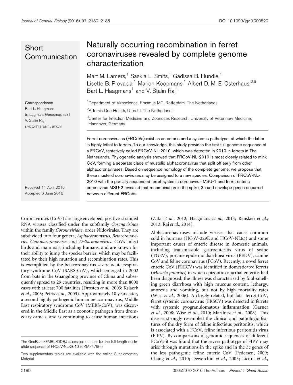 Naturally Occurring Recombination in Ferret Coronaviruses Revealed By