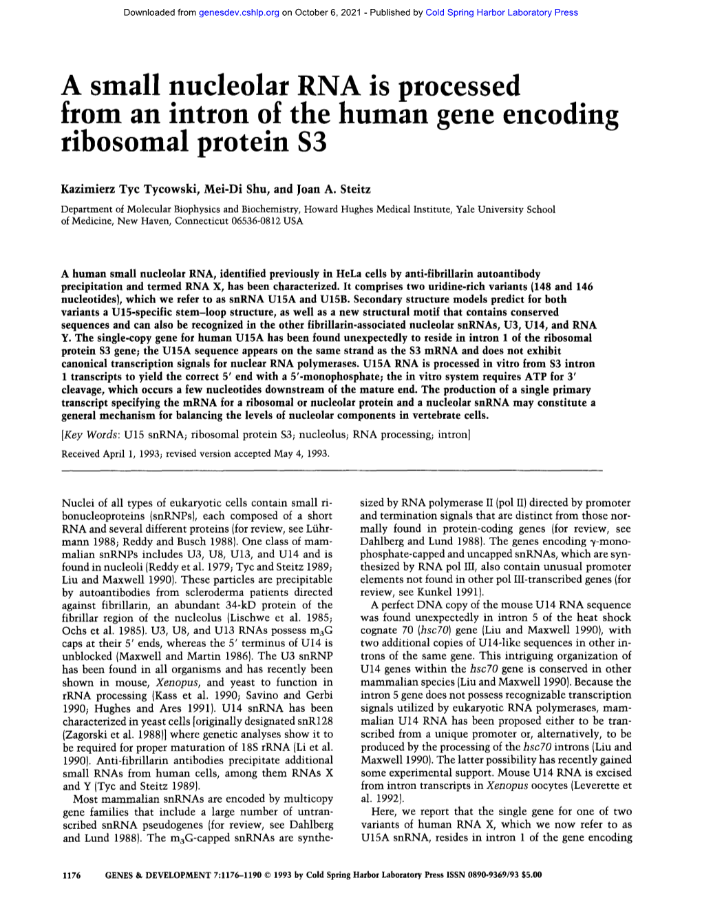 A Small Nucleolar RNA Is Processed from an Intron of the Human Gene Encoding Ribosomal Protein $3