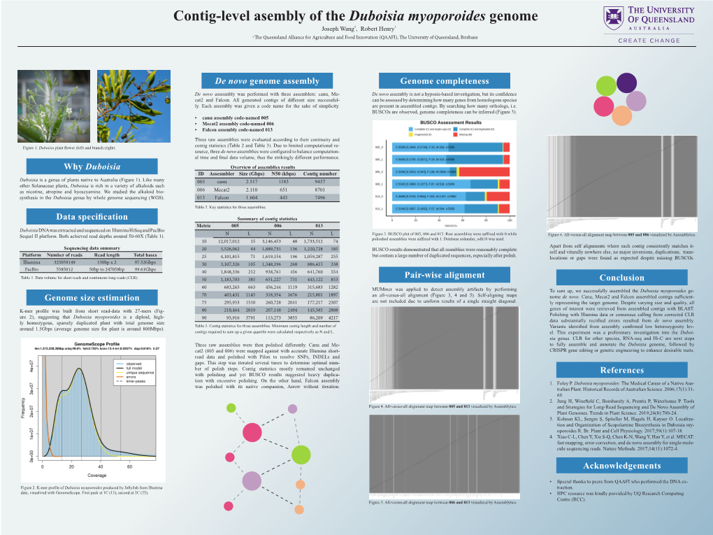 Contig-Level Asembly of the Duboisia Myoporoides Genome