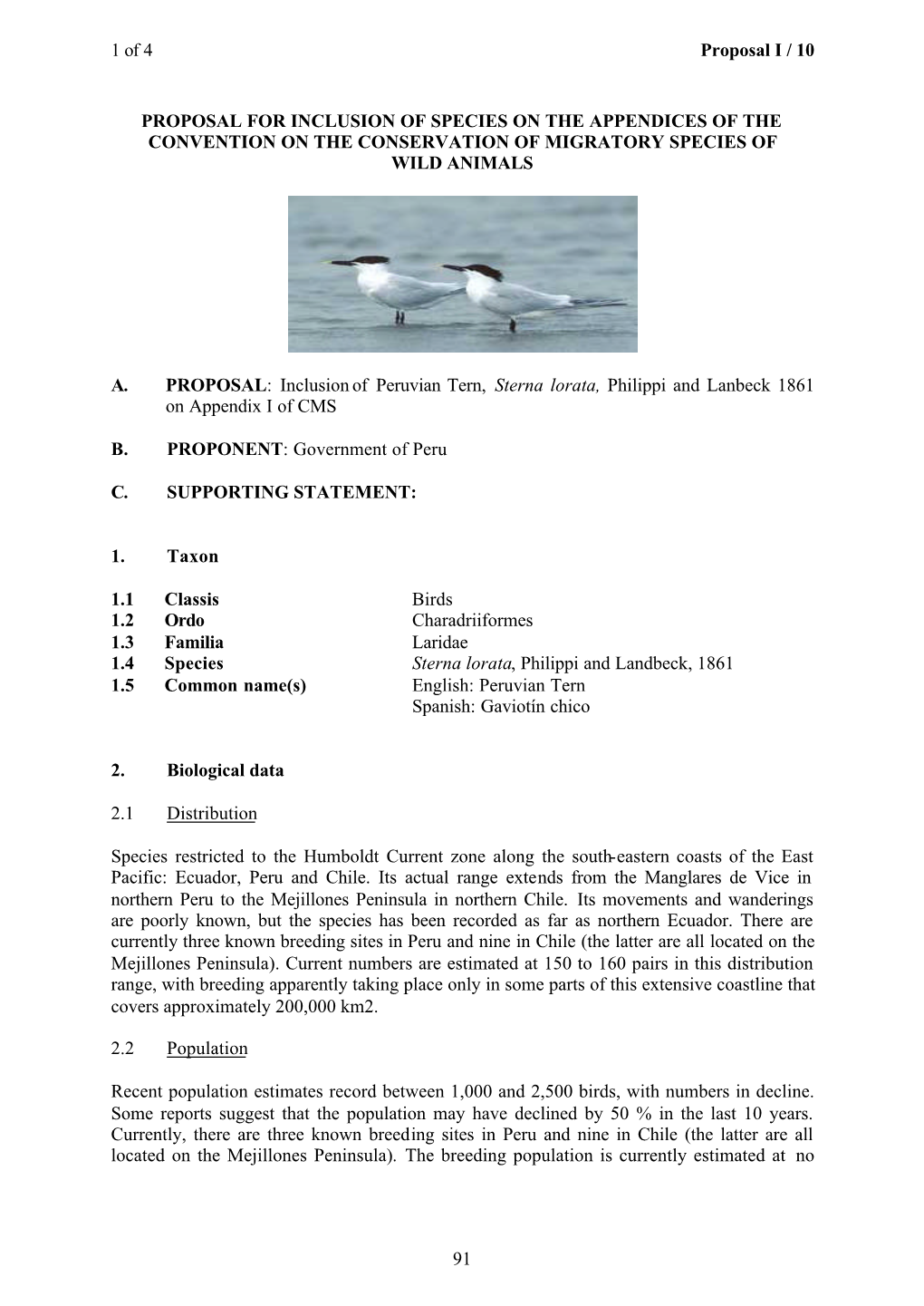 Peruvian Tern, Sterna Lorata, Philippi and Lanbeck 1861 on Appendix I of CMS