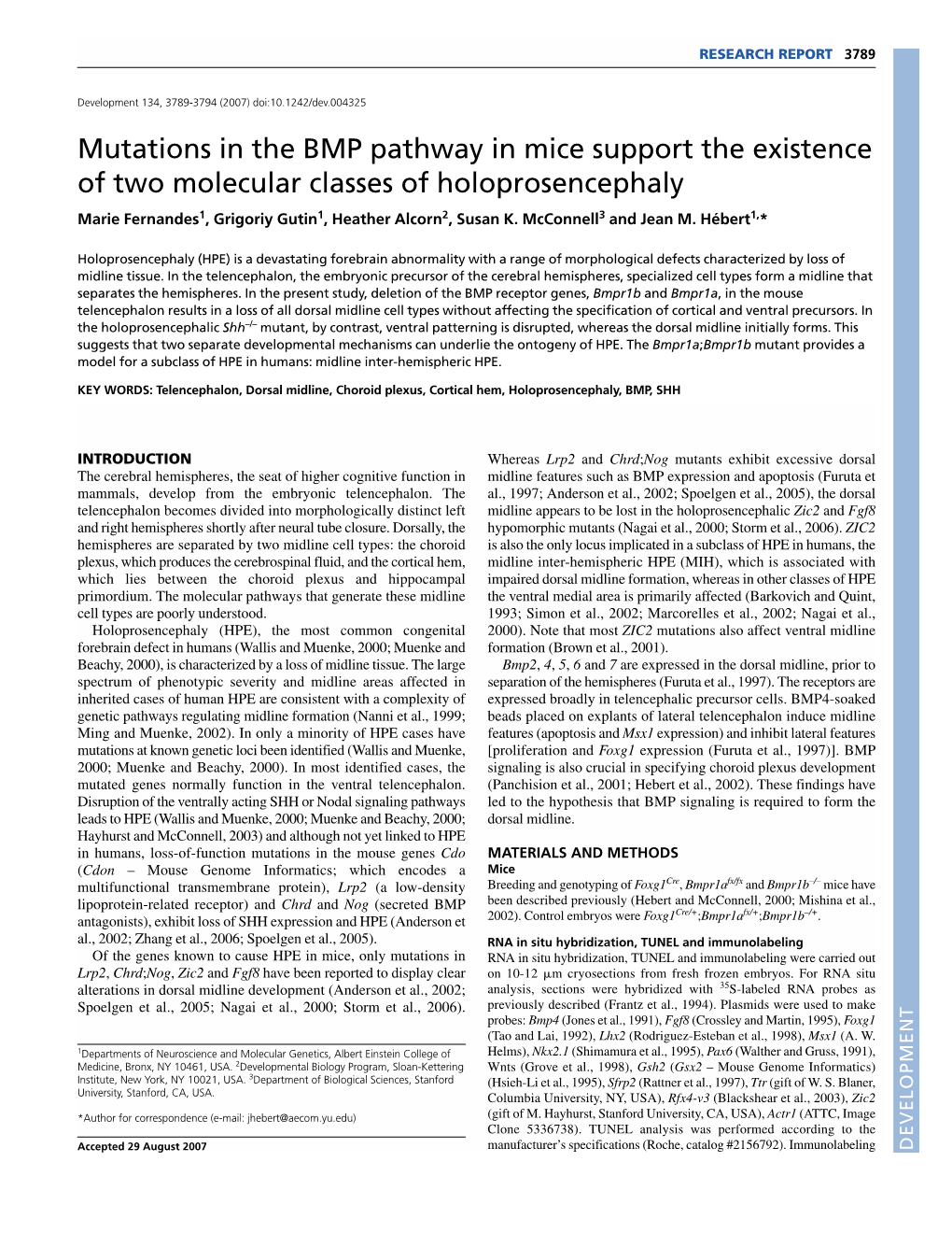 Mutations in the BMP Pathway in Mice Support the Existence of Two Molecular Classes of Holoprosencephaly Marie Fernandes1, Grigoriy Gutin1, Heather Alcorn2, Susan K