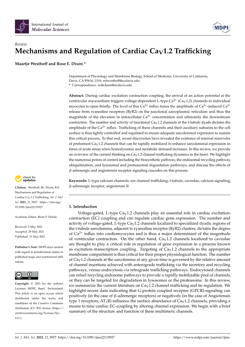 Mechanisms and Regulation of Cardiac Cav1.2 Trafficking