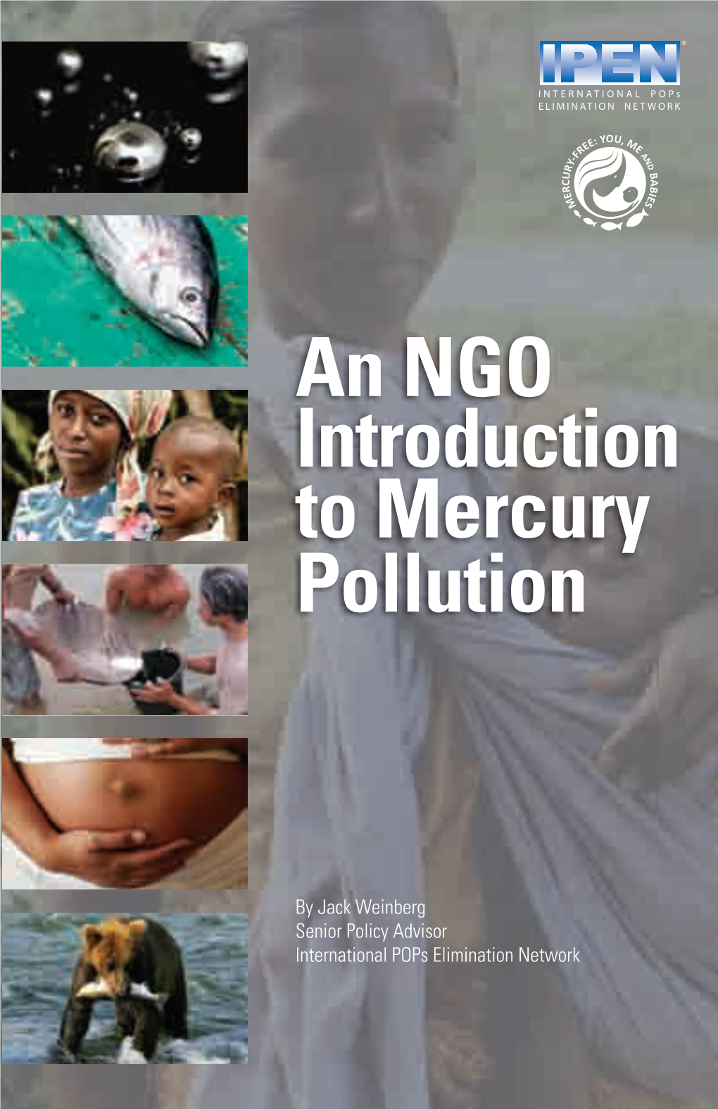 An NGO Introduction to Mercury Pollution