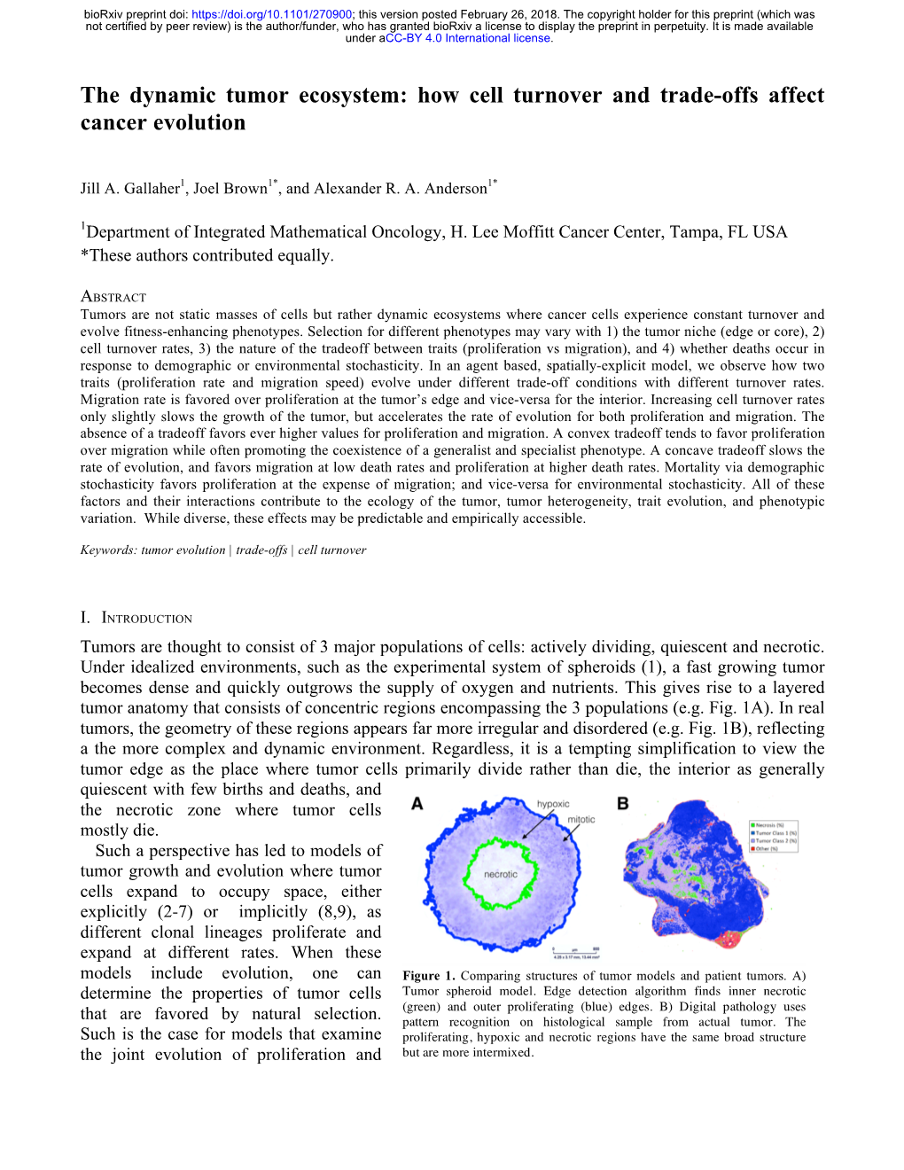 The Dynamic Tumor Ecosystem: How Cell Turnover and Trade-Offs Affect Cancer Evolution