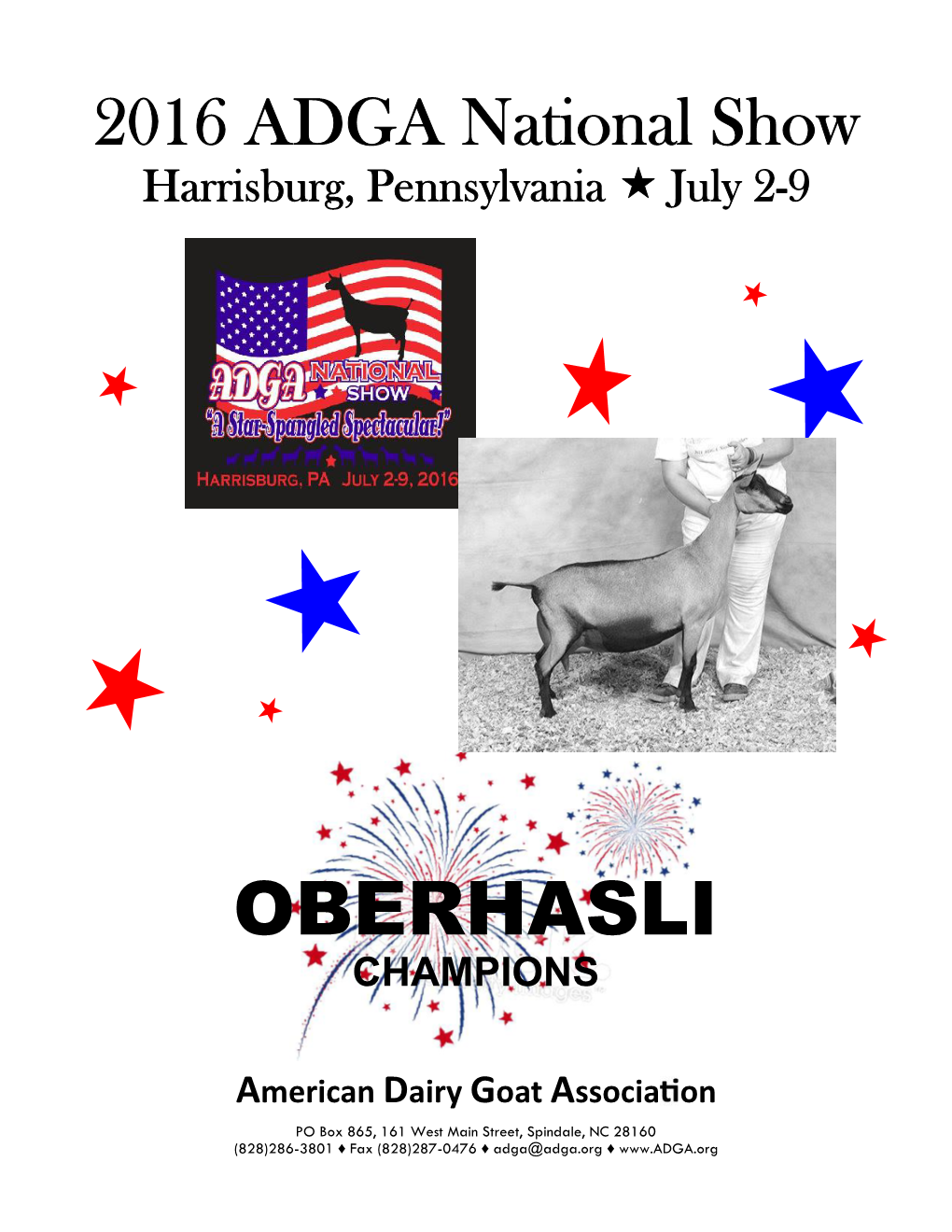 Oberhasli Champions