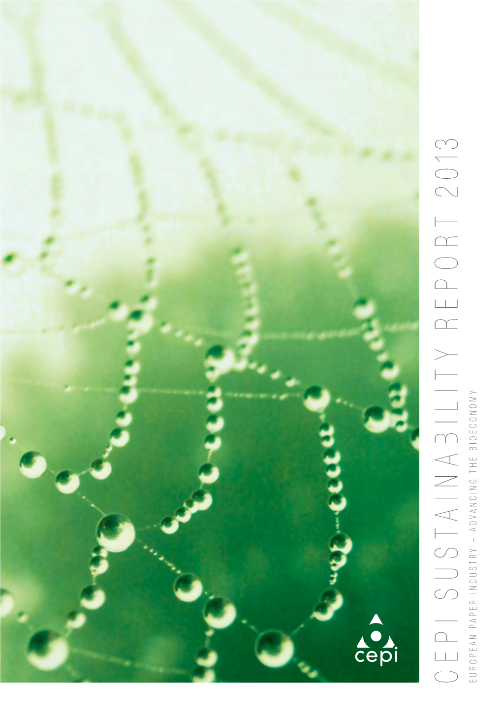 CEPI Sustainability Report, 2013