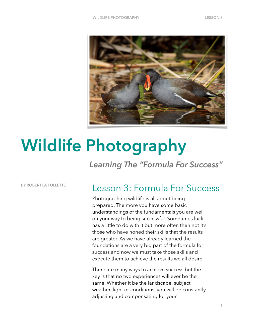 Wildlife Photography Lesson 3
