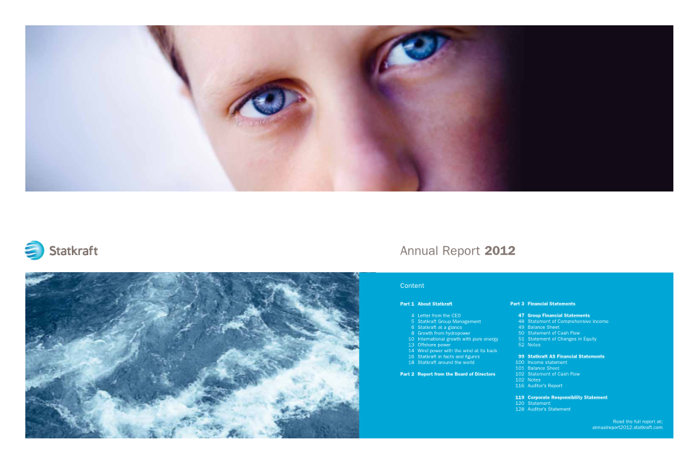 Annual Report 2012