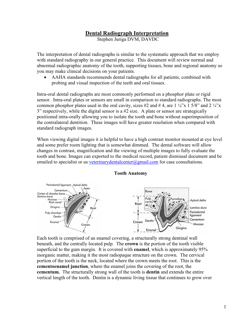 Dental Radiograph Interpretation Stephen Juriga DVM, DAVDC