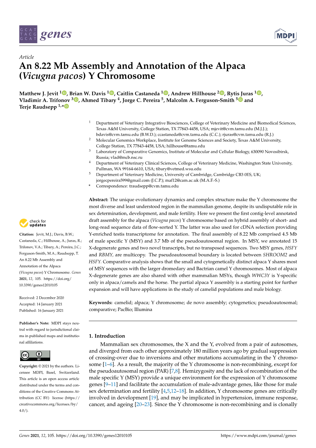 Y Chromosome