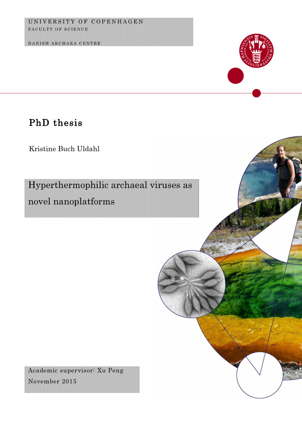 Phd Thesis Hyperthermophilic Archaeal Viruses As Novel