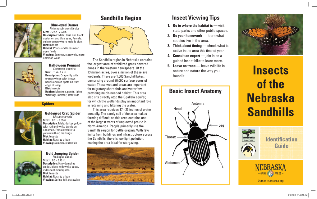 Insects of the Nebraska Sandhills