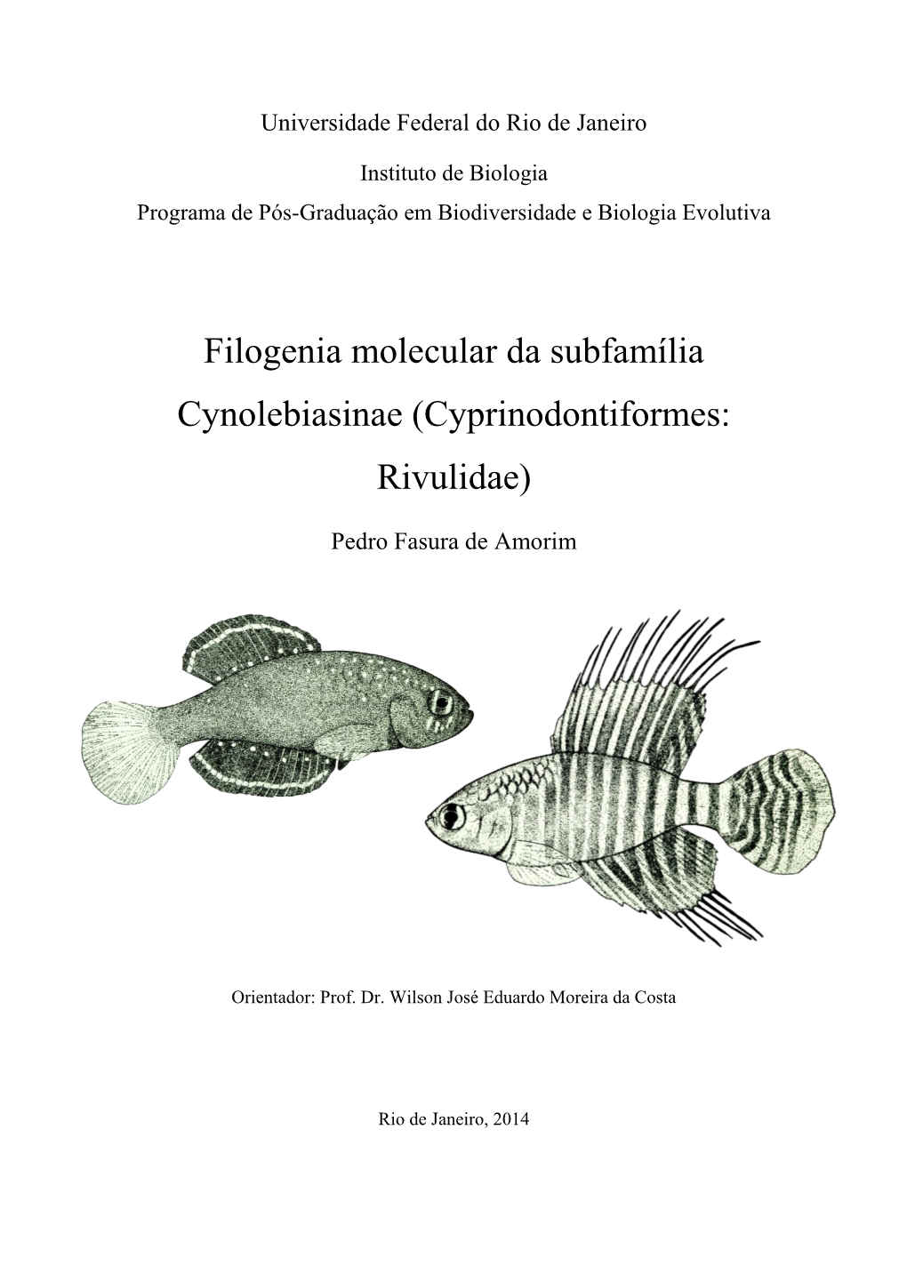 Filogenia Molecular Da Subfamília Cynolebiasinae (Cyprinodontiformes