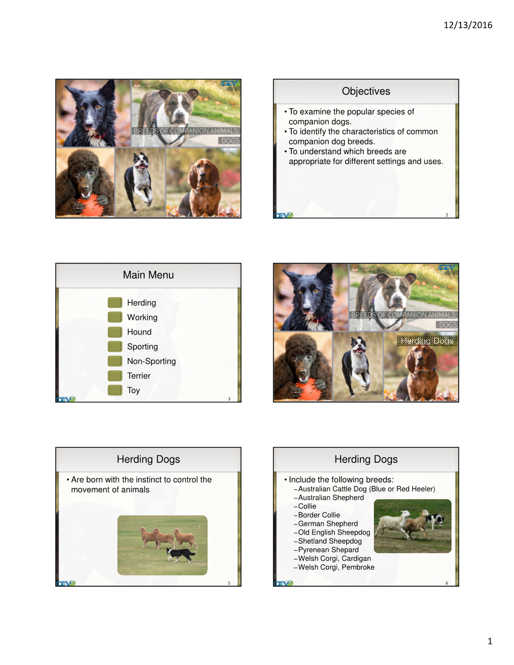 Objectives Main Menu Herding Dogs Herding Dogs