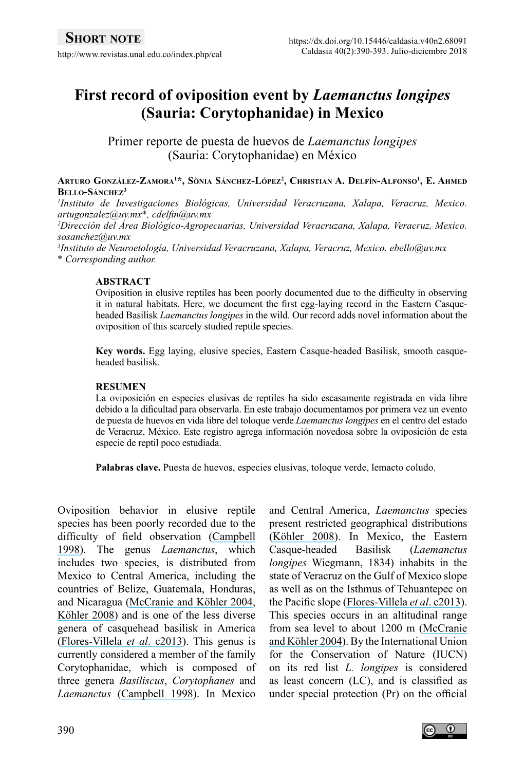 First Record of Oviposition Event by Laemanctus Longipes (Sauria: Corytophanidae) in Mexico